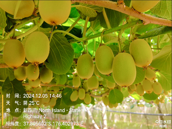 QQ20250508-155533.png