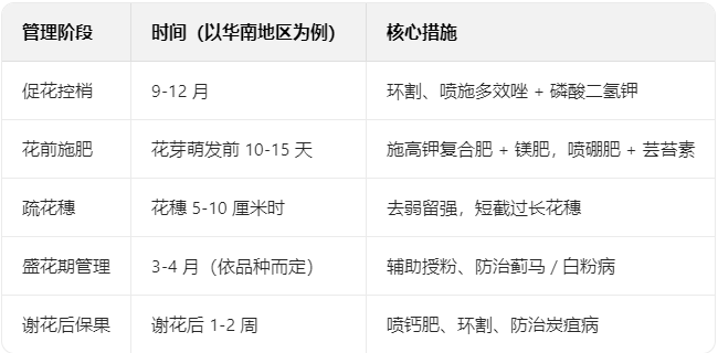 QQ20250603-110542.png