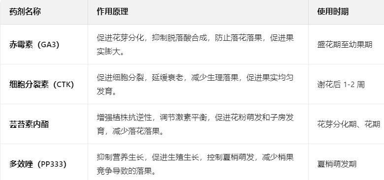 QQ20250603-112456.png